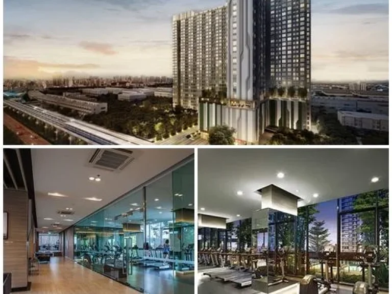 ด่วน For rent คอนโด Ideo Sathorn Thaphra ให้เช่า ห้องสวยเฟอร์ครบ วิวโล่ง พร้อมอยู่ทันที วันนี้ โทร097-2467151