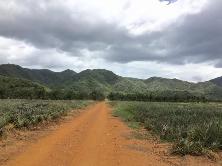 ที่ดินทำเกษตรหรือโครงการใหญ่