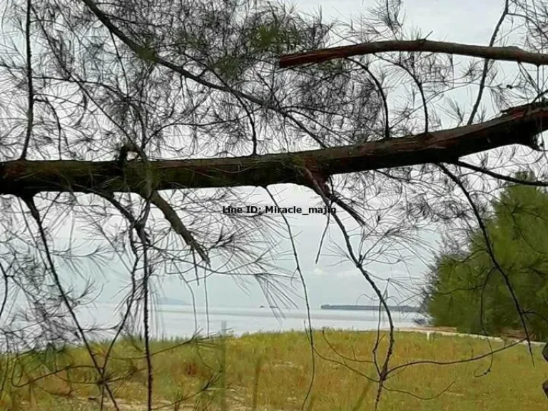 ที่ดินชายหาดทุ่งประดู่