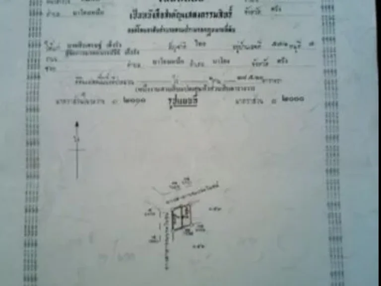 ที่ดินเปล่า