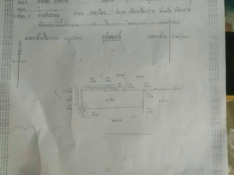 ขายที่ดินเปล่า 8ไร่ 3 งาน 83 ตรว เชียงราย