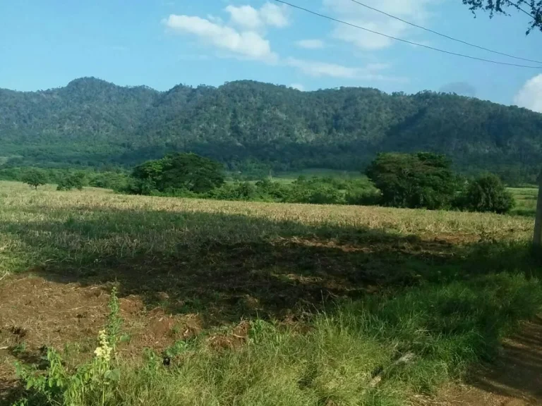 ขายด่วน ที่ดิน1030ไร่ ติดถนนมิตรภาพ ที่ดินติดภูเขาสวยมาก เป็นพื้นที่สีเขียว