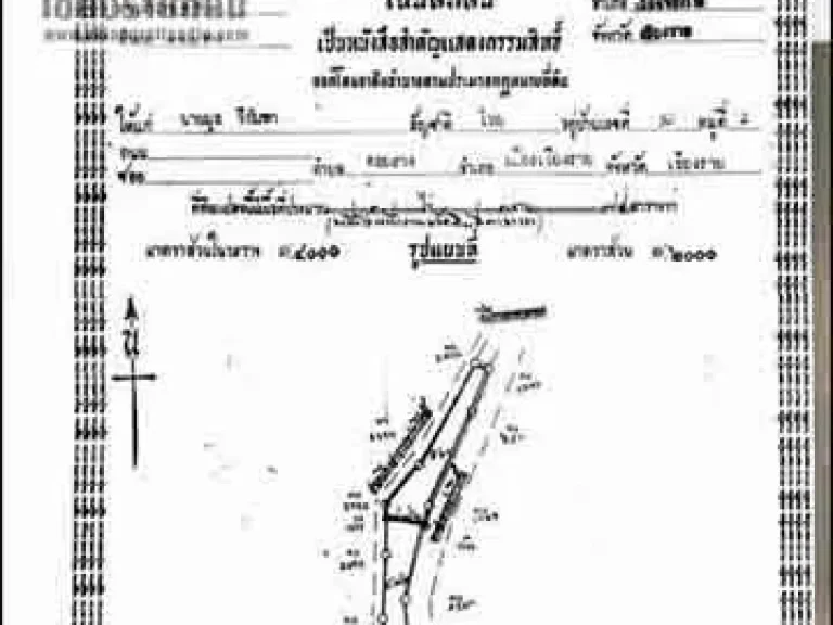 ขายที่ดิน 2 แปลงติดกัน ฮ่องอ้อ ดอยฮาง อเมืองเชียงราย