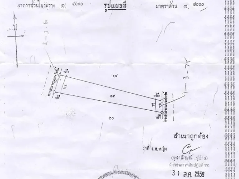 ขายที่ดินเปล่า ราคาถูก บนเกาะคอเขา อตะกั่วป่า จพังงา จำนวน 40 ไร่