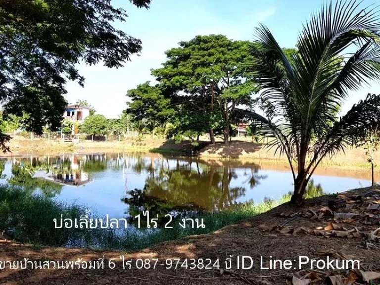 ขายบ้านสวนพร้อมที่ดิน 6 ไร่2 งาน ติดถนนลาดยางสายเพชรบูรณ์  บุ่งน้ำเต้า2402