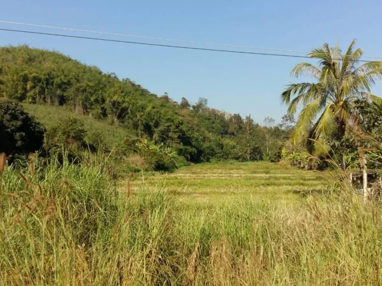 ที่ดินเชียงราย ติดบายพาส ติดเนินเขา ใกล้ท่าเรือพาณิชย์แห่งที่2