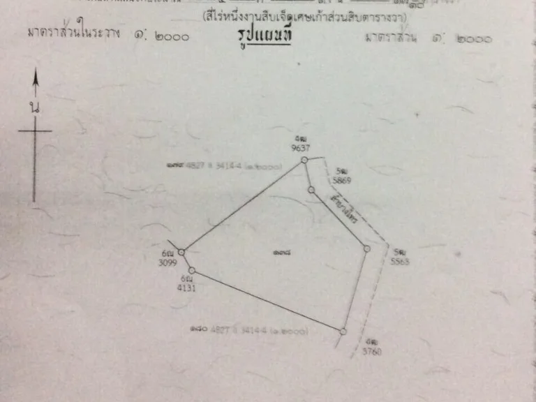 ที่ดินในบาง ติดถนนสะพานศรีสุราษฎร์