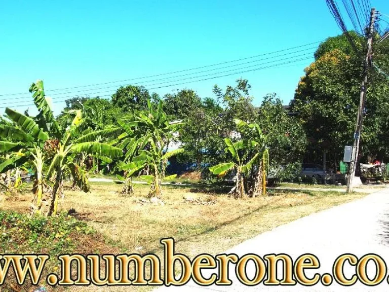 ที่ดินซอยท่าเรือ-ท่าลาน 1 อท่าเรือ จพระนครศรีอยุธยา