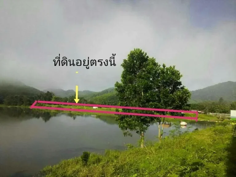 ขายที่ดิน นส3 ทำเลดี 9 ไร่กว่า ทำเกษตรและรีสอร์ทได้