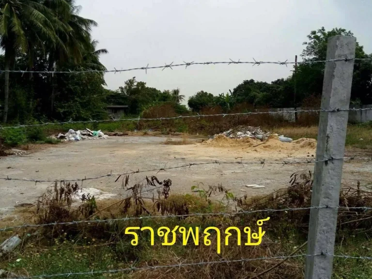 ขายที่ดิน ราชพฤกษ์