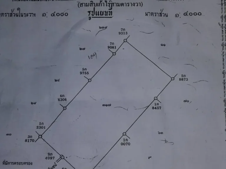 ขายที่ดินหลังปั๊มแก็ส บ้านเกาะน้อย ศรีสัชนาลัย สุโขทัย 39 ไร่