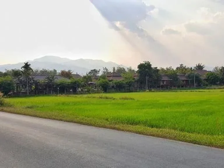 ขายที่นาแปลงสวย บรรยากาศดี ไฟน้ำพร้อม โฉนด ที่ตั้ง ตห้วยทราย อแม่ริม จเชียงใหม่ เนื้อที่ 3 ไร่ 3 งาน 5 ตารางวา