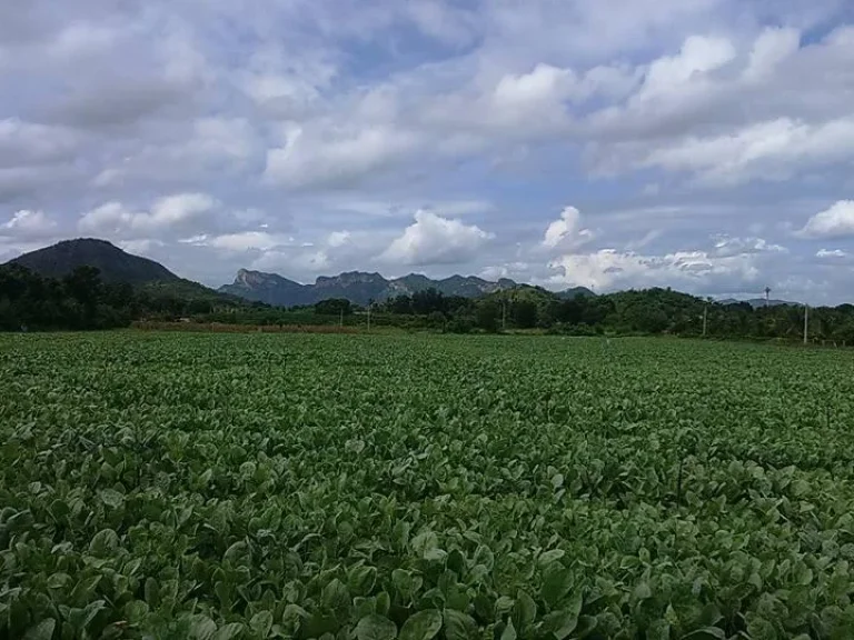 ที่ดินราคาถูกและสวย 40ไร่พร้อมบ้านพัก บรรยากาศดี อท่าม่วง จกาญจนบุรี ใกล้แนวเส้นทางหลวงพิเศษกาญจน์-น้ำพุร้อน