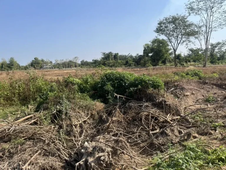 ขายทีดิน 306 ตรว วิวเขาชัด มีโฉนด ตพรหมณี ถมแล้ว