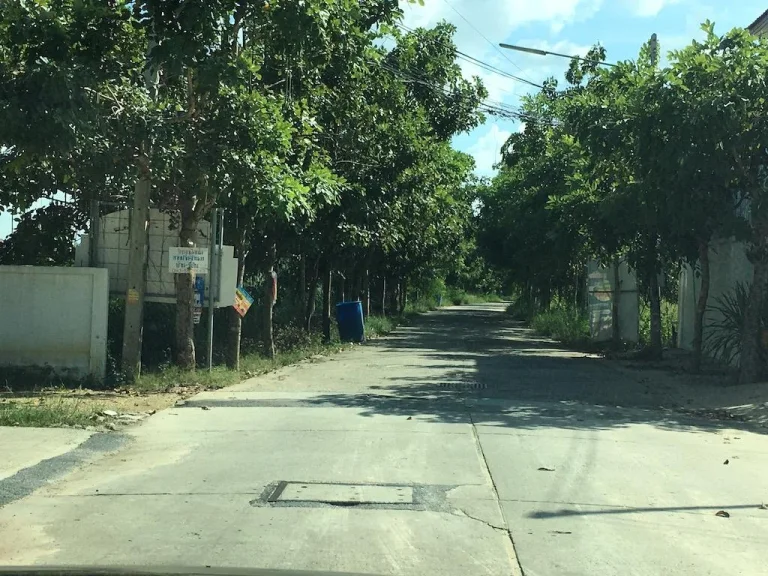 ขายที่ดินบ้านเกาะ ในเมืองโคราช เนื้อที่ 2 ไร่ ใกล้ห้างโลตัล