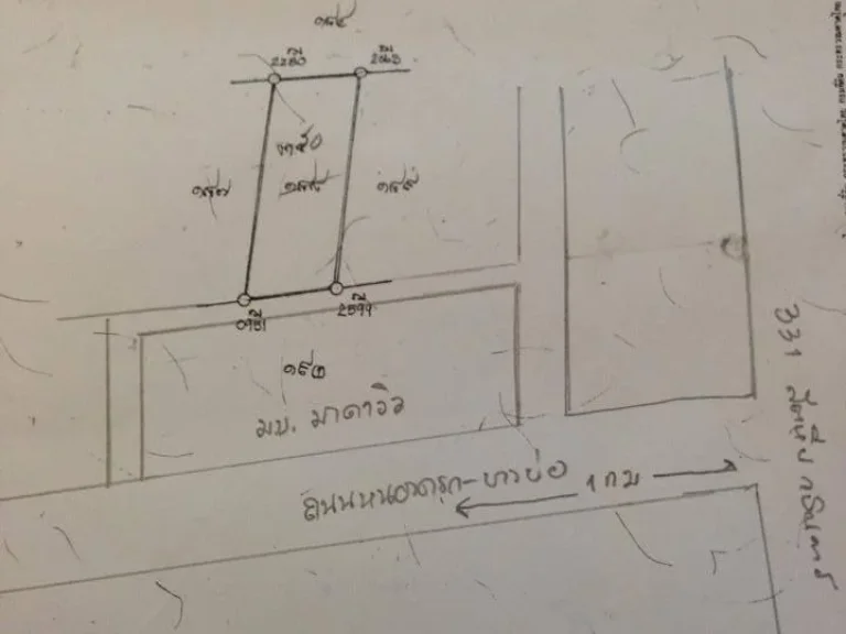 ขายที่ 5 ไร่ 3 งาน