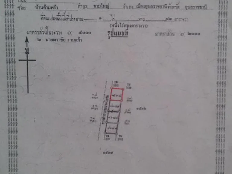 ขายที่ดินเงินสด-ผ่อน ดาวน์น้อยไม่มีดอกเบี้ย 100 ตรว