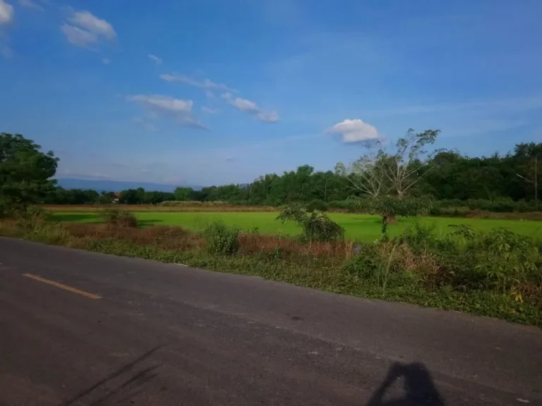 ขายที่ดินหน้ากว้างติดถนนลาดยาง ถนนสุวรรณศร 600000