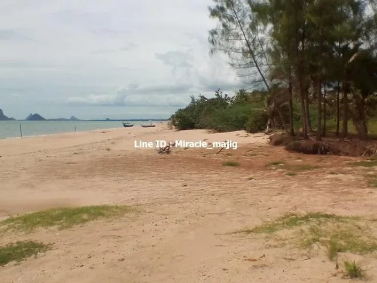 ขายที่ติดชายหาดเป็นส่วนตัวเงียบสงบหาดสวยทรายขาว