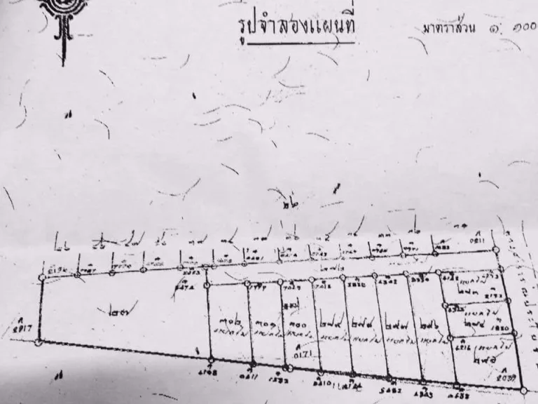 ขายที่ดิน 287ตารางวา