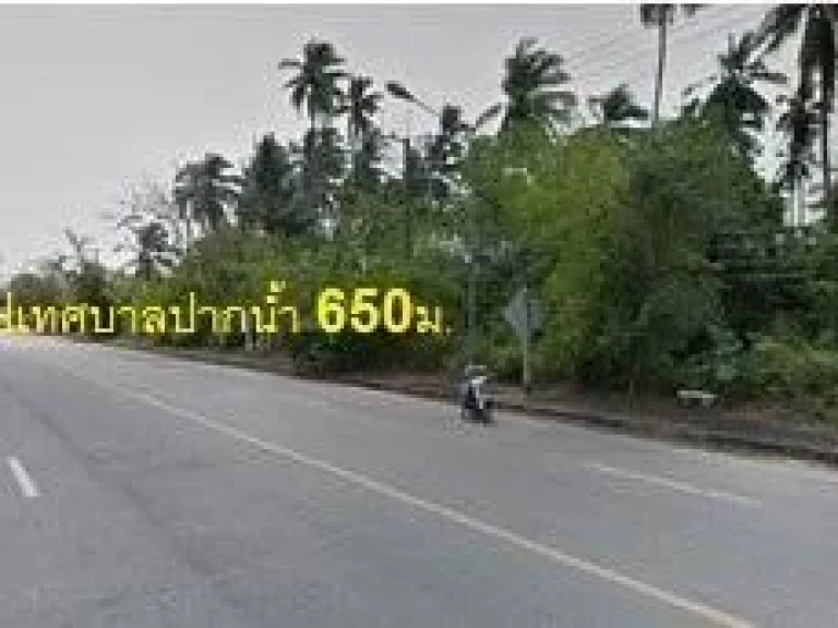 ขายที่ดินใกล้เทศบาลปากน้ำหลังสวนติดถนนใหญ่ 4 เลน 504 ตรว