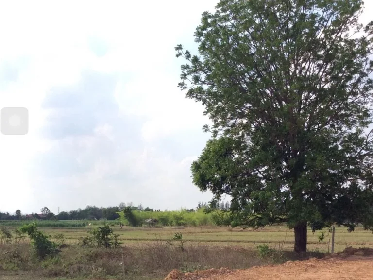 ที่ดินโฉนด 2 ไร่กว่าไร่ละ 250000 บาท ติดถนนลาดยาง ไฟฟ้าปะปาผ่าน ใกล้ชุมชน