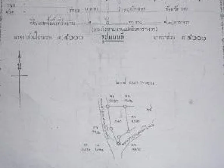 ขายที่ 2 ไร่ 3 งาน 80 ตาราวา