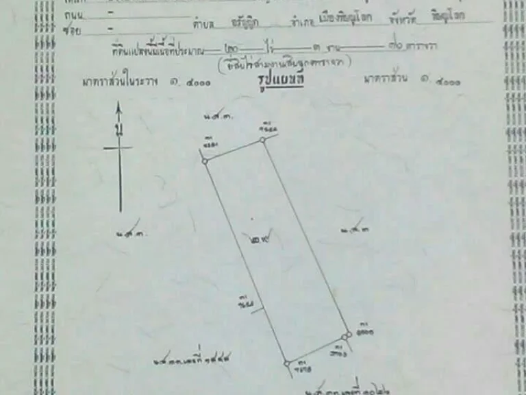 ขายที่นา20ไร่