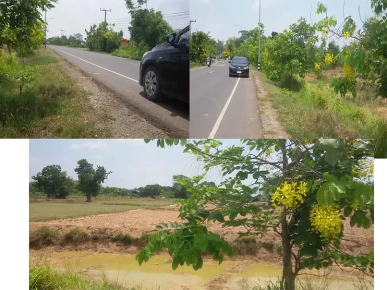 ที่ดินโฉนด2ไร่กว่า ติดถนนลาดยาง บ้านหนองโพรง หลัง อบตอีสาณ ใกล้คลองถมหนองแปบ