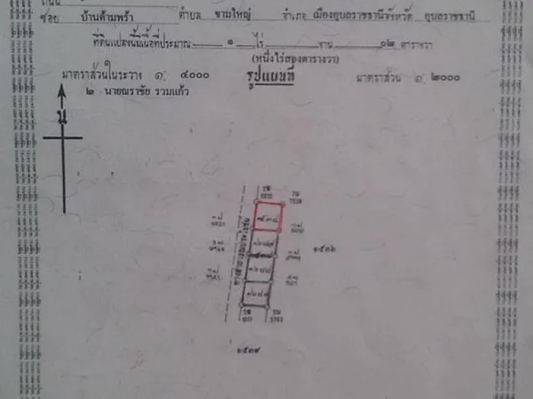 ขายที่ดินสด-ผ่อน ดาวน์น้อยไม่มีดอกเบี้ย 100 ตรว