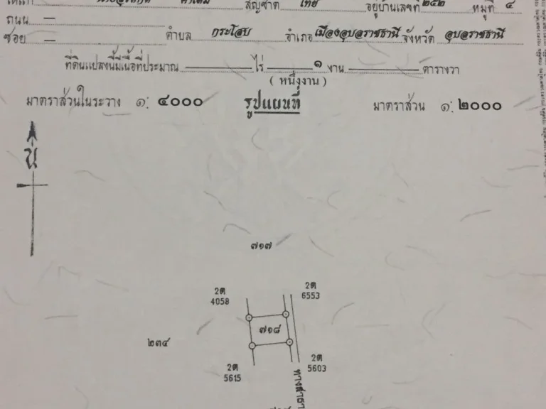 ปรับราคาลดสุดติ่งที่ดิน1งานใกล้ห้วยวังนอง485000โอนคนละครึ่ง