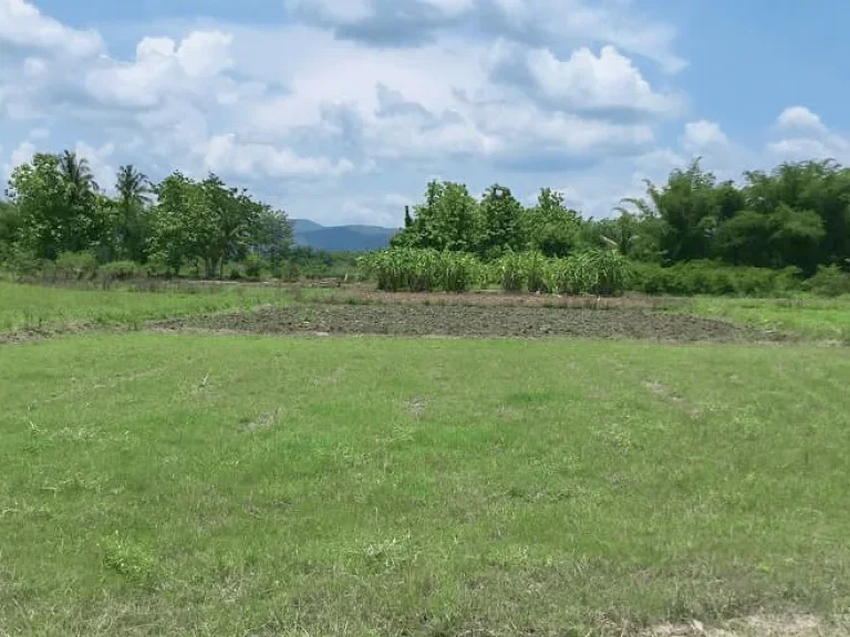 ขายที่สวนแม่ริม มีโฉนด ติดถนนซอย ห่างถนนหลัก 900 เมตร