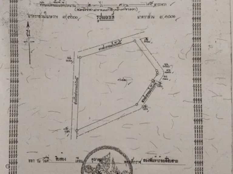 ขายที่ดิน เนื้อที่ 2 -3- 65 แม่ริม โฉนดที่เนินสวน วิวน้ำแม่ริม วิวภูเขา