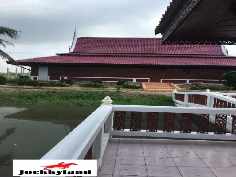 ขายบ้านเรือนไทย พร้อมที่ดิน 7 ไร่ 2 งาน มีสระบัว บรรยากาศร่มรื่น เรียบง่าย