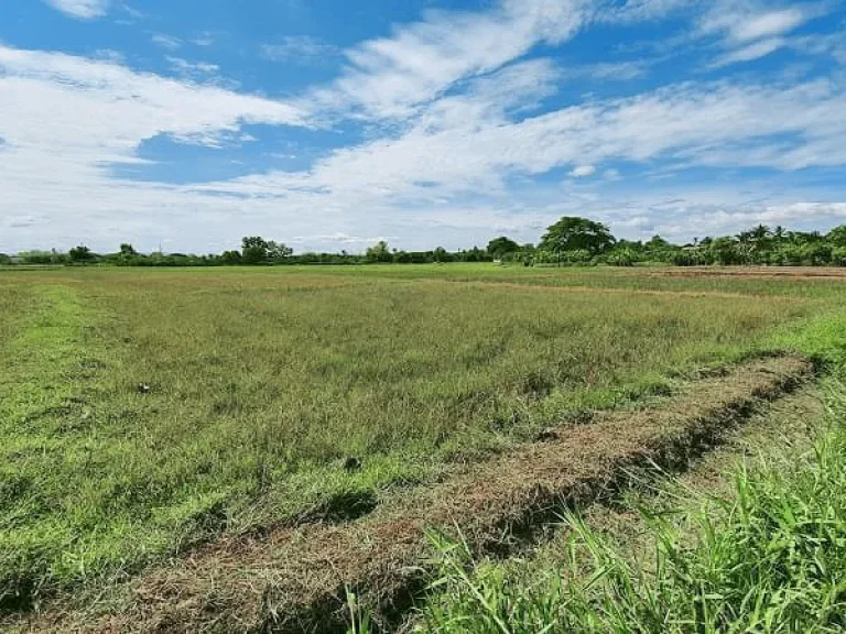 ขายที่ดินสันป่าตองเหมาะกับจัดสรร