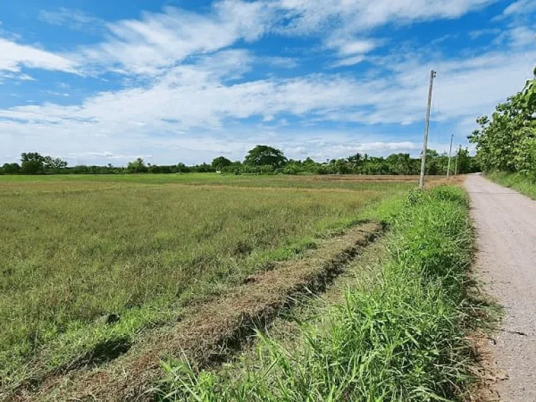 ขายที่ดินสันป่าตองเหมาะกับจัดสรร