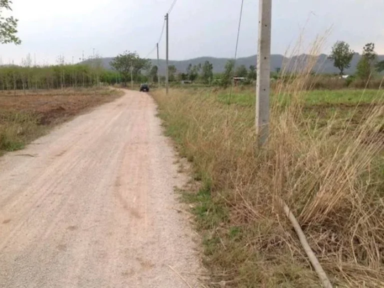 ที่ดินเปล่า เหมาะสร้างบ้านจัดสรร อวังสะพุง จเลย