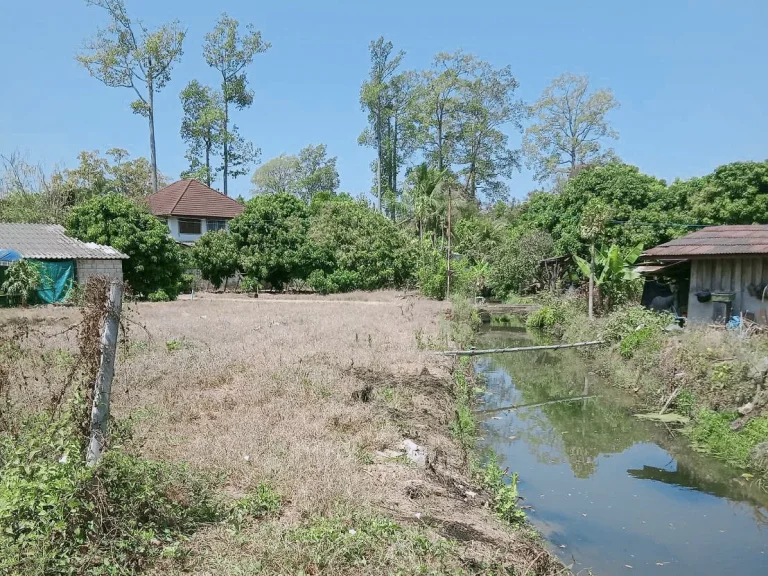 ขายที่สวนลำใยติดถนนพญาชมภู ราคาถูก