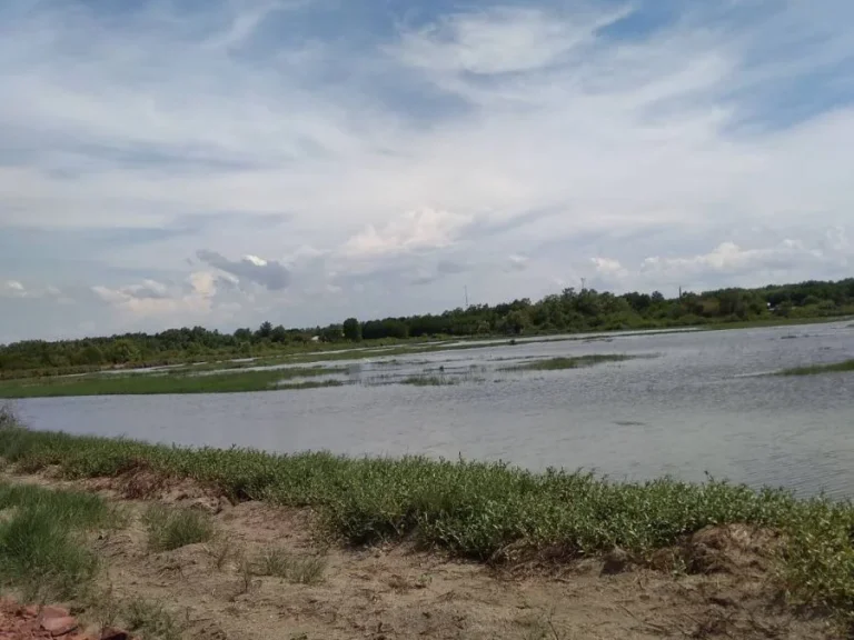 ขายที่ดิน 180ไร่ ยี่สารอัมพวาสมุทรสงคราม ติดถนนต้นลำแพน กำลังลาดยาง เหมาะทำธุระกิจเลี้ยงสัตว์น้ำทุกประเภท