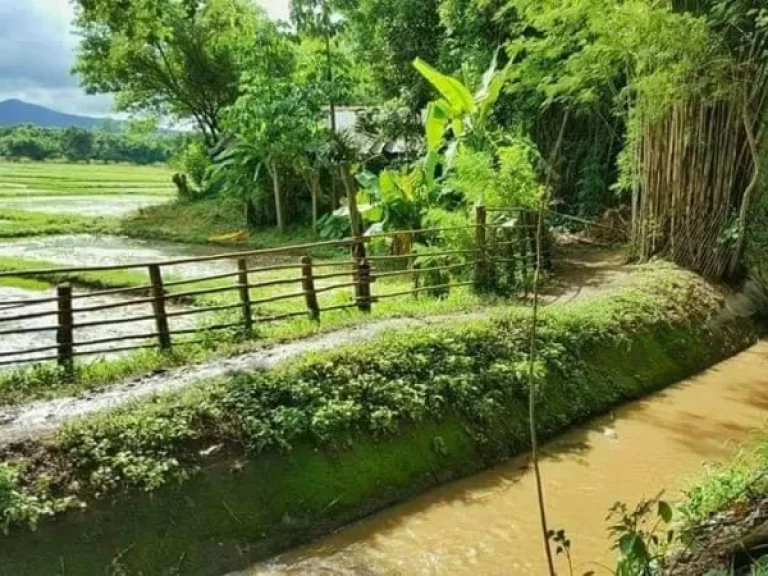 ขายที่ดินแม่ริม ไกล้โรงเรียนนานาชาติเปรม ห่างเมือง 24 km