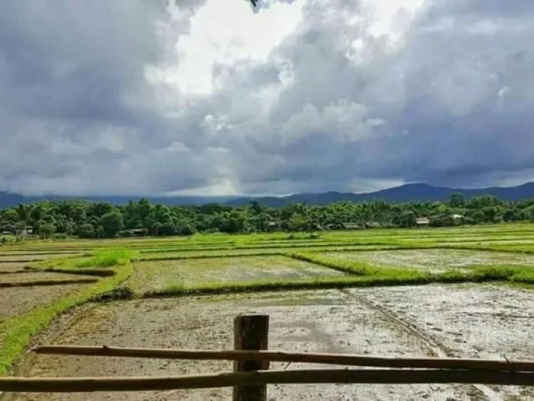 ขายที่ดินแม่ริม ไกล้โรงเรียนนานาชาติเปรม ห่างเมือง 24 km