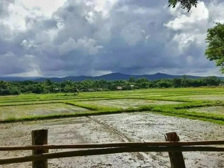 ขายที่ดินแม่ริม ไกล้โรงเรียนนานาชาติเปรม ห่างเมือง 24 km