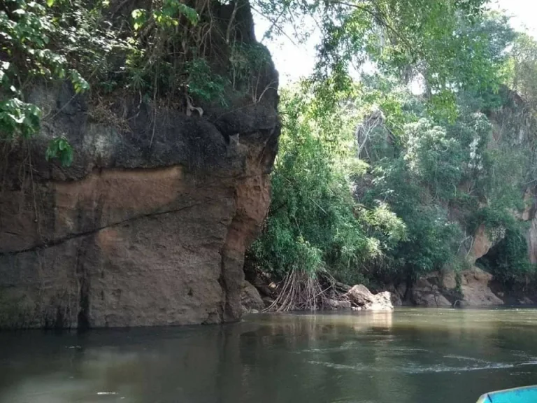 ขายที่ดิน นส3ก หน้าติดถนนหลังติดแม่น้ำแควน้อย 380 เมตร อทองผาภูมิ กาญจนบุรี ขนาด 50 ไร่