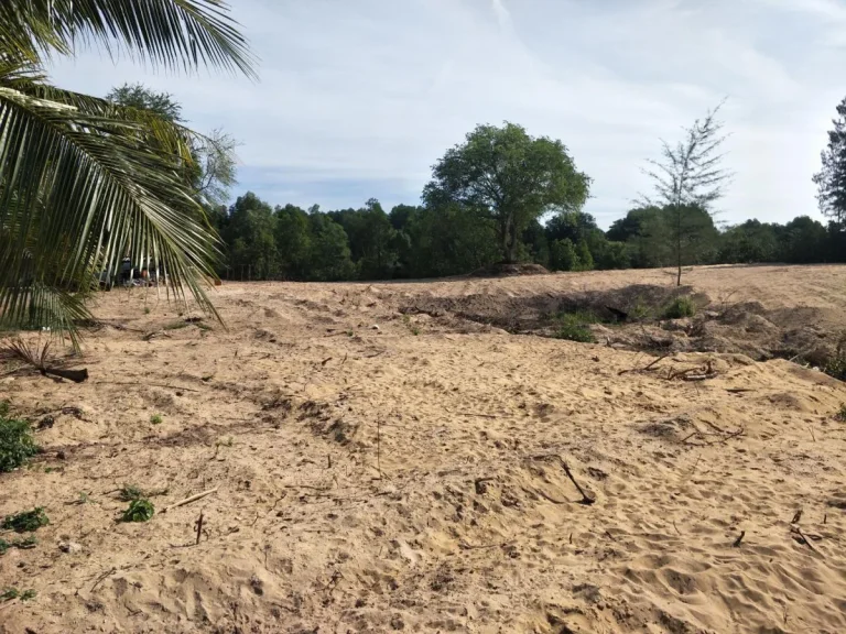 ขายด่วนเจ้าของขายเอง ที่ดินติดคลองบางสน ติดทะเลหาดบางสน อปะทิว จชุมพร