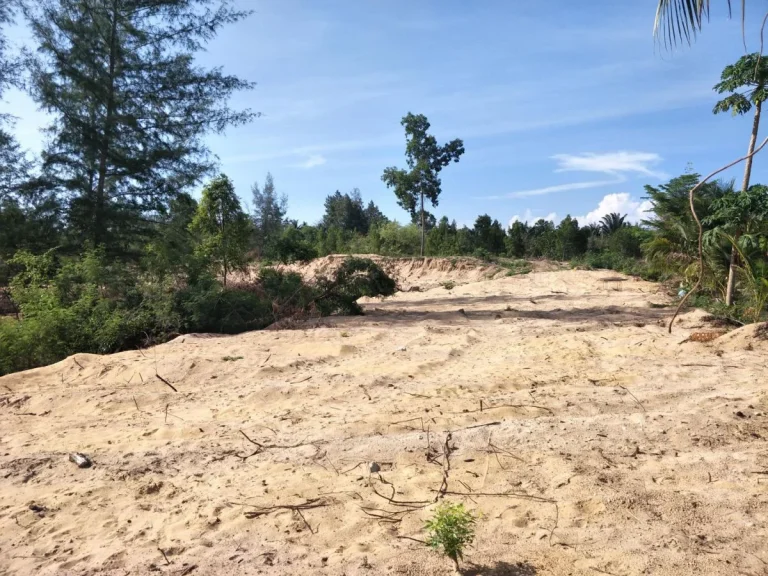 ขายด่วนเจ้าของขายเอง ที่ดินติดคลองบางสน ติดทะเลหาดบางสน อปะทิว จชุมพร