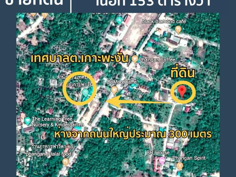 เจ้าของขายเอง ที่ดิน หน้าอำเภอเกาะพะงัน จสุราษฎร์ธานีเนื้อที่ 153 ตารางวา