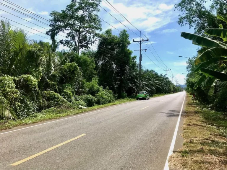 ขายที่ดินอำเภอกันตัง จังหวัดตรัง 13 ไร่เศษ ทางเข้าร้านอาหารครัวลำพู