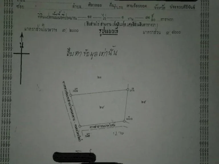 ขายที่ดิน สองแปลง 13 ไร่ และ 20 ไร่ ไร่ละ 45 แสน ต ศิลาลอย อ สามร้อยยอด