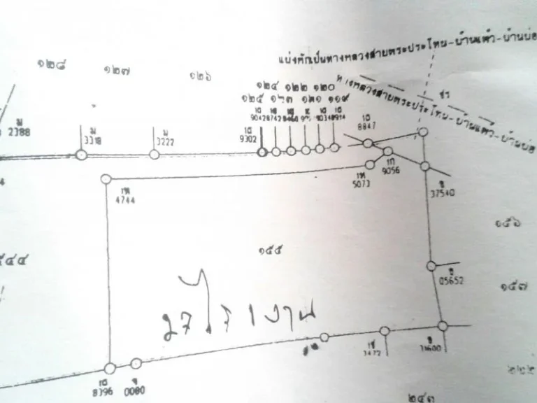 ขายที่ดิน27ไร่1งานติดถนนบ้านแพ้ว