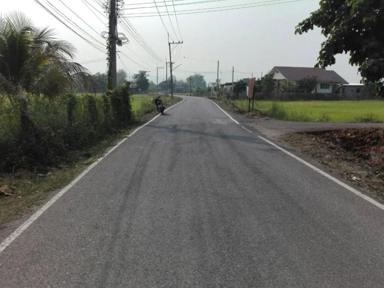 ขายที่ดินติดถนนซอย แม่ปูคาห่างถนนหลัก 900 เมตร